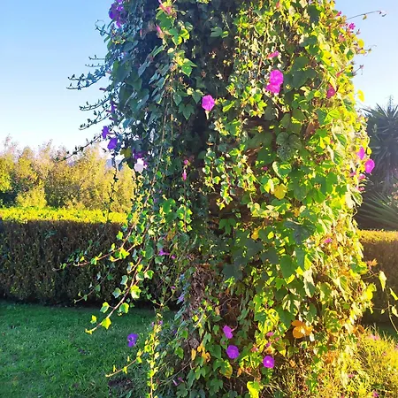 Villa El Molino Quintas