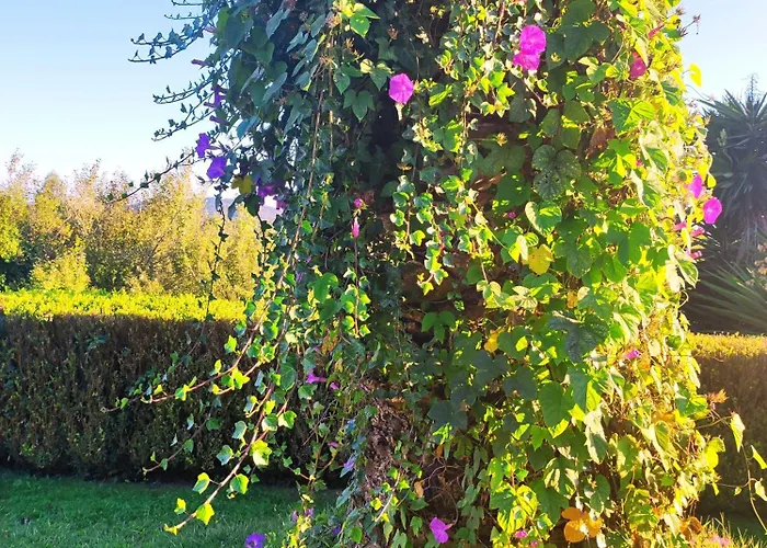 Βίλα El Molino Quintas